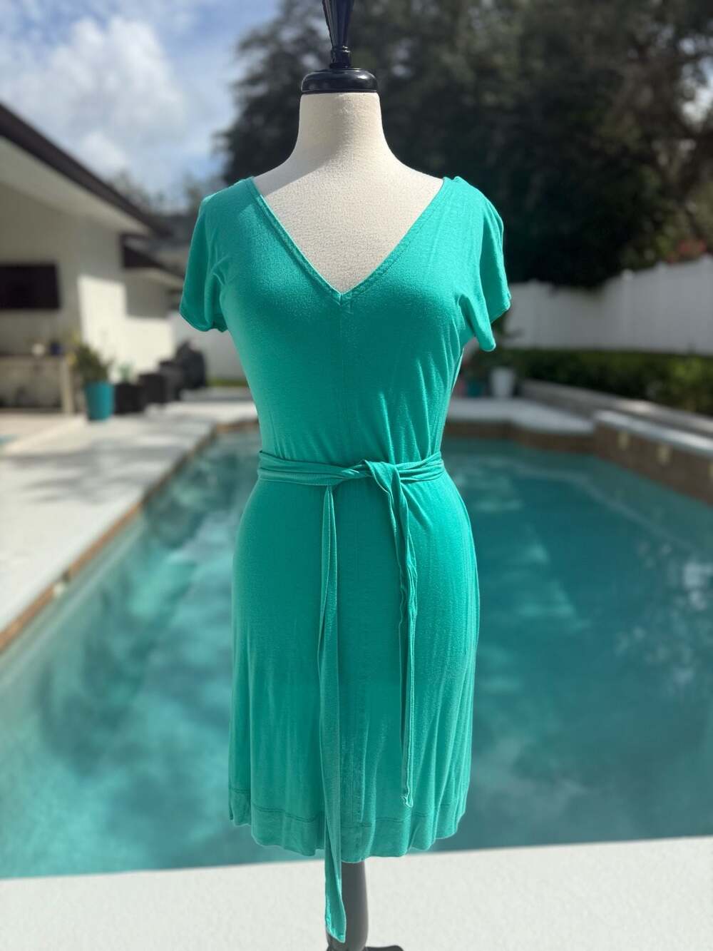 Banana Republic V-Neck Belted Jersey Dress